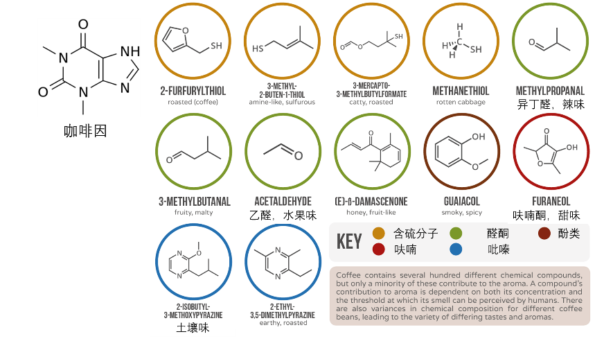 咖啡奶茶培训机构_醇品咖啡与炭烧咖啡_如何和咖啡